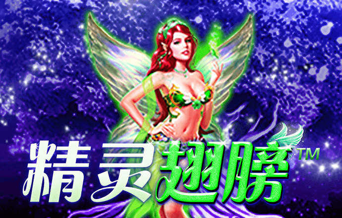 赛酷体育官网app